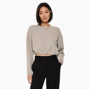 Aritzia Sweatshirt